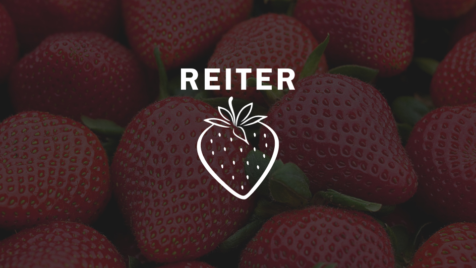 reiter