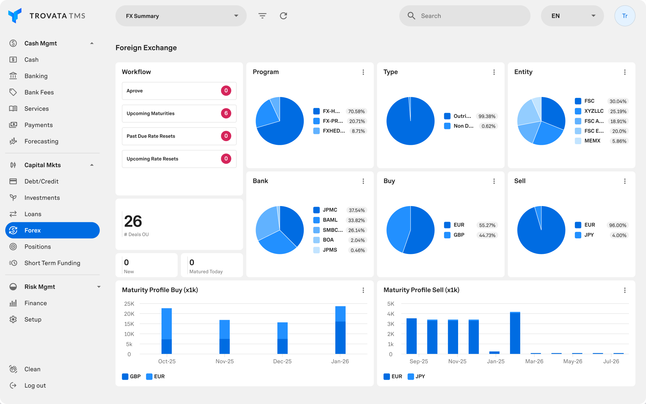 capital hedging and risks