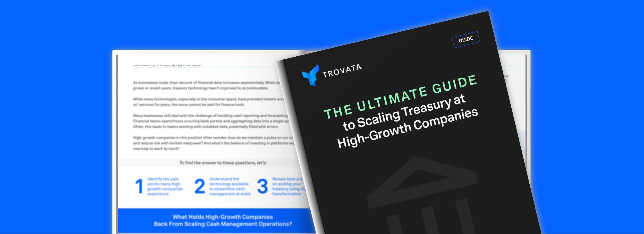 new guides the ultimate guide to scaling treasury at high growth companies